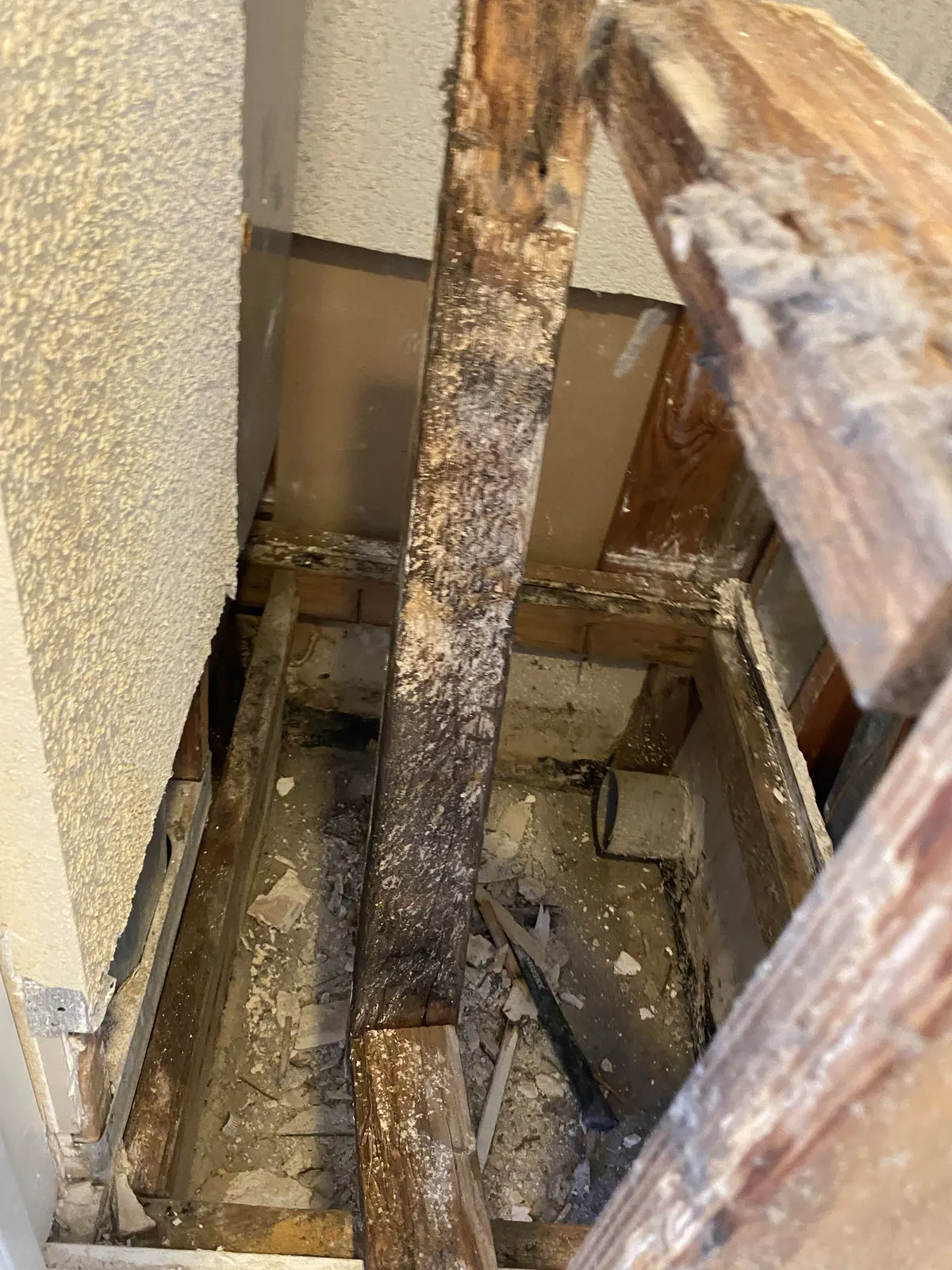 Deteriorated wood framing exposed inside an opened exterior wall
