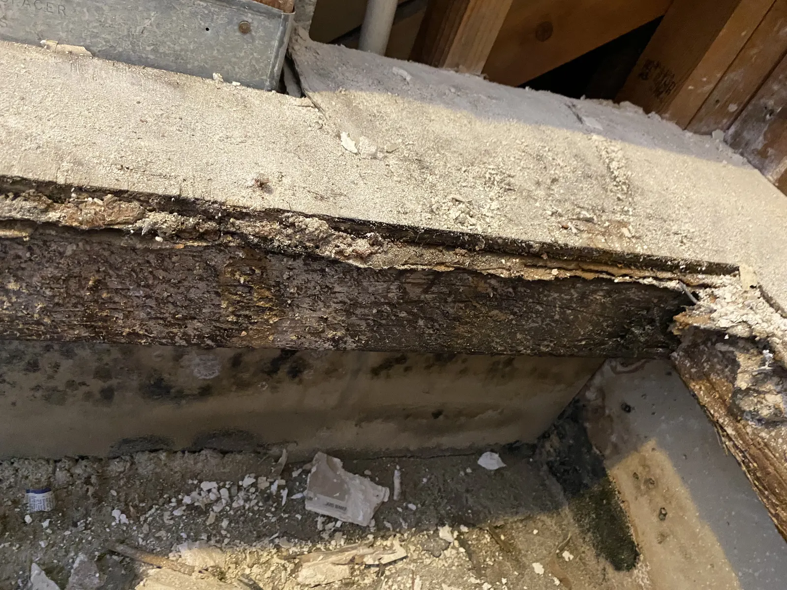 Deteriorated wood at the base of an opened wall above a concrete slab
