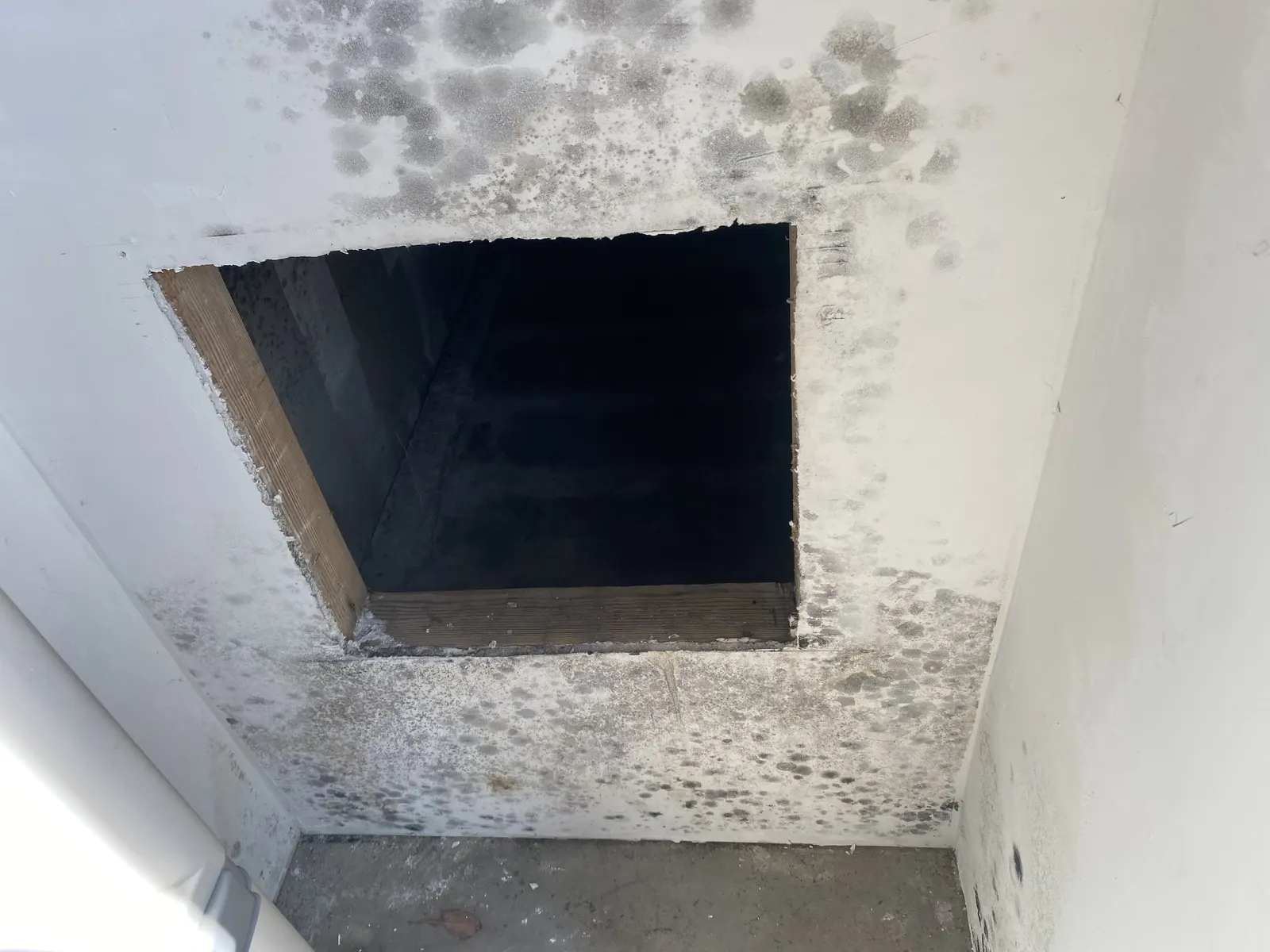 Dark mold spots spread across a ceiling and wall around an opening into the ceiling