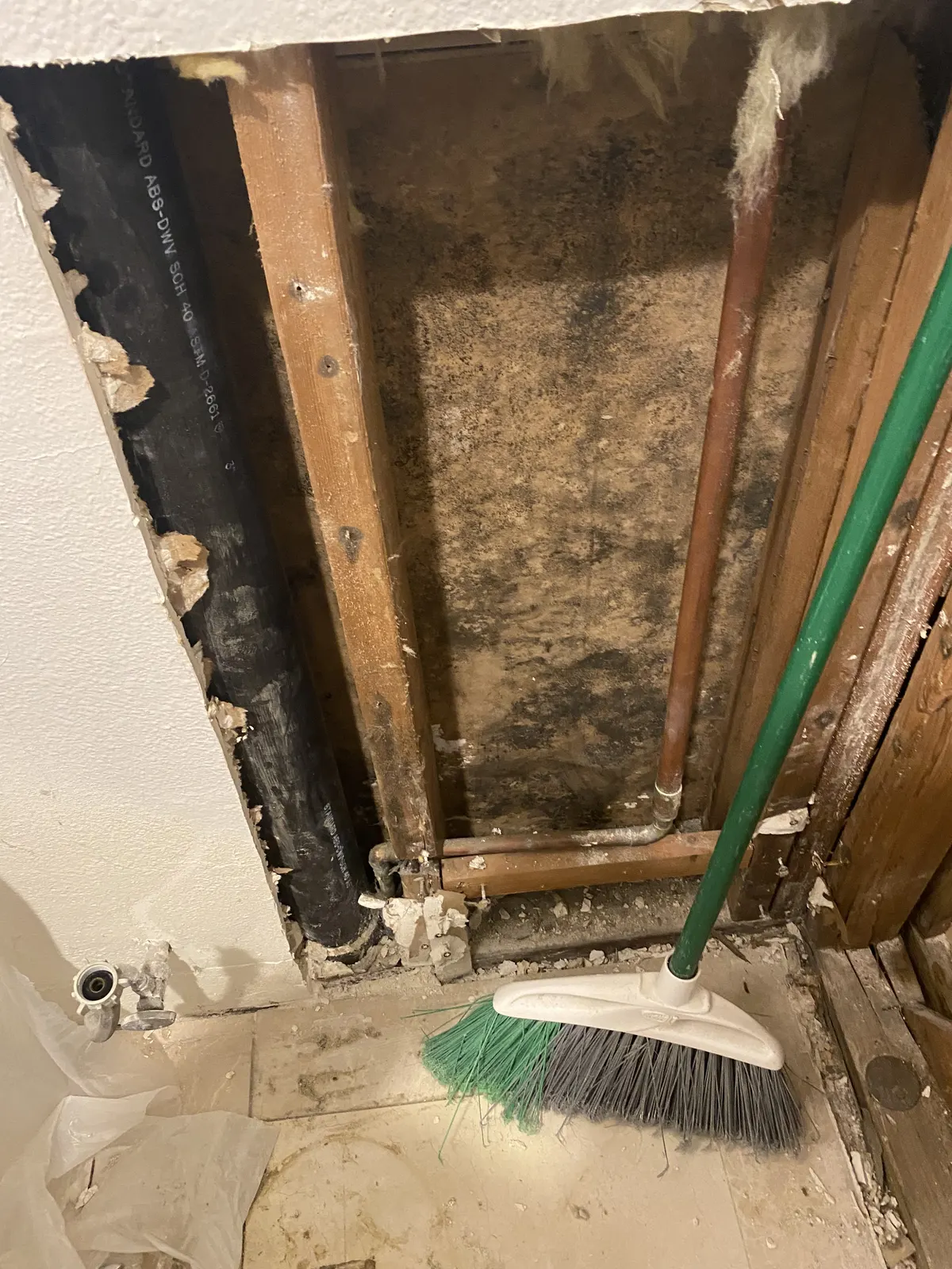 Opened wall cavity with mold growth on the back of the drywall between the studs