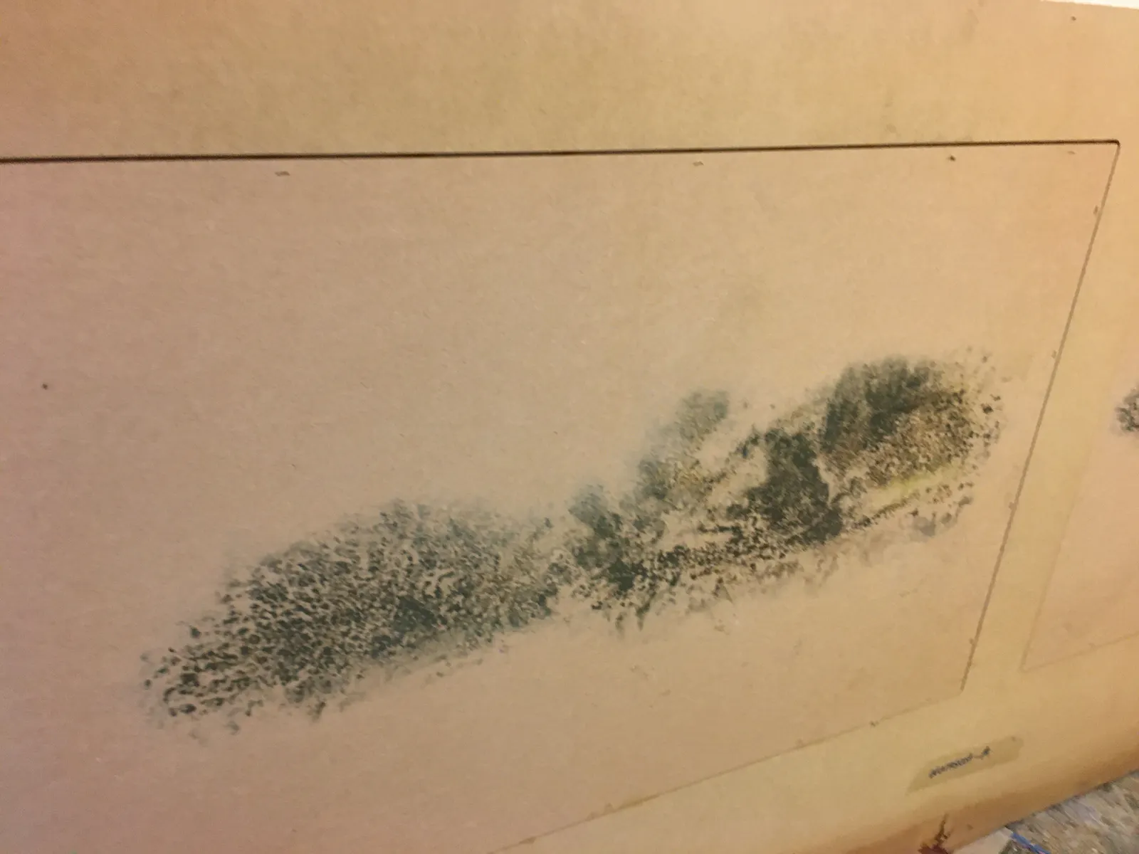 Dark mold growth on the back of a removed drywall panel