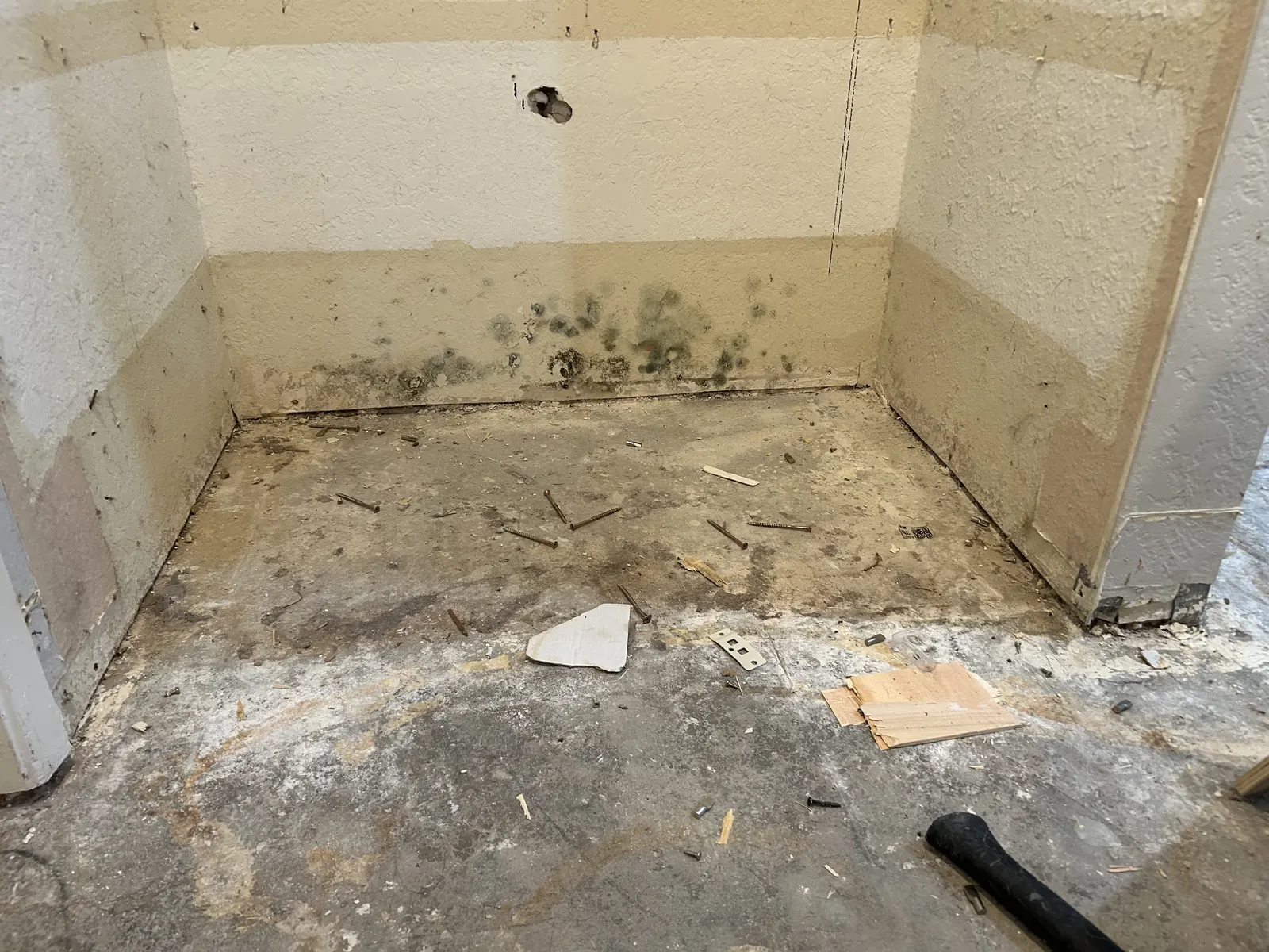 Mold spots along the bottom of a wall where the flooring has been removed