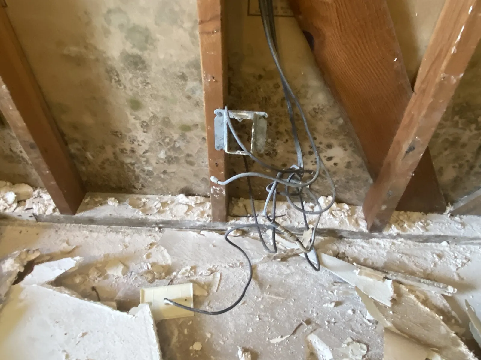 Mold spots on drywall inside an opened wall, with debris on the floor